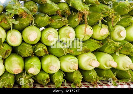 Ohren von Mais auf dem Display für Verkauf an den Farmers Market Stockfoto