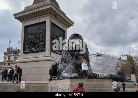 London, England - April 5, 2016: Lion Statuen Trafalgar Square Stockfoto