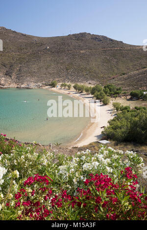 Blick über Strand Psili Ammos mit Oleander im Osten der Insel Küste, Serifos, Kykladen, Ägäis, griechische Inseln, Griechenland, Europa Stockfoto