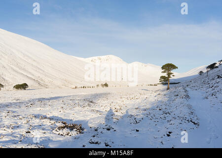 Beinn Mheadhoin, Winter im Cairngorms Stockfoto