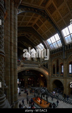 London, England - April 7, 2016: Natural History Museum Innenarchitektur in London, England Stockfoto