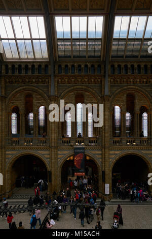 London, England - April 7, 2016: Natural History Museum Innenarchitektur in London, England Stockfoto