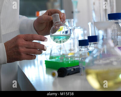 MODEL RELEASED. Chemie Experiment. Wissenschaftler der Vorbereitung einer chemischen Formel in einem Labor Kolben während eines Experiments. Stockfoto