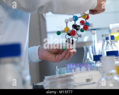 MODEL RELEASED. Chemie Forschung. Forscher entwerfen eine chemische Formel mit einem molekularen Modell im Labor. Stockfoto