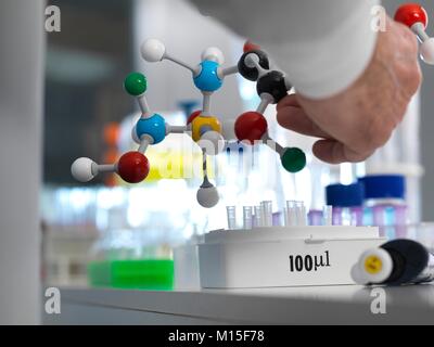 MODEL RELEASED. Chemie Forschung. Forscher entwerfen eine chemische Formel mit einem molekularen Modell im Labor. Stockfoto