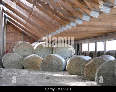 Stapel von aufgerollten Heu in einem hölzernen Scheune Stockfoto