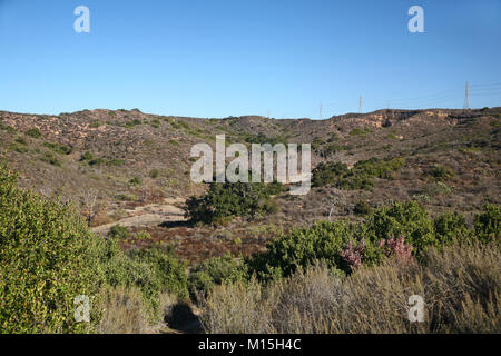 James Dilley Greenbelt Canyon Preserve, Laguna Beach CA Stockfoto