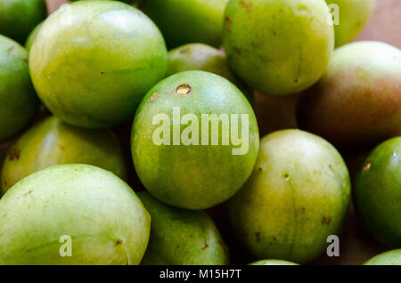 Spondias tuberosa - Brasilianische Obst der Saison namens Umbu oder Imbu. Brasilien Pflaume. Regionale Obst Stockfoto