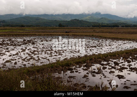 KENGTUNG, MYANMAR - NOVEMBER, 2016: ländliche Szene in der Nähe von Keng Tung Stockfoto