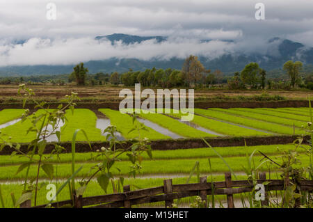 KENGTUNG, MYANMAR - NOVEMBER, 2016: ländliche Szene in der Nähe von Keng Tung Stockfoto