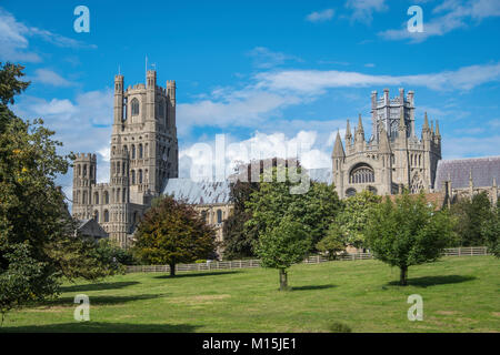 Die Kathedrale von Ely von Cherry Hill Park gesehen. Stockfoto