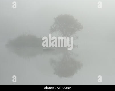 Während sich in den frühen Morgenstunden gehen um Trenance Gärten, Newquay, Cornwall. Der Nebel waren vom Meer trieb und verdeckt die Insel. Stockfoto