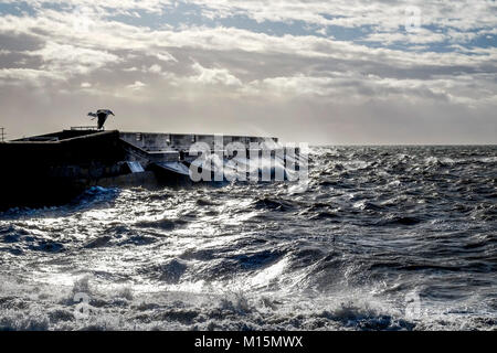 Dramatische stürmischen Meer gegen Brighton Marina schwarz Hafenmauer, Gischt und Wellen hoch in die Luft zu brechen, raue See und eine einsame Möwe versuchen, s Stockfoto