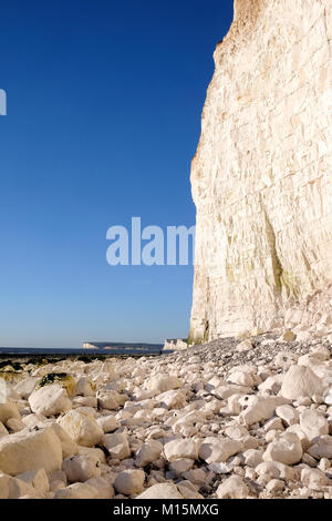 Hohe Weiße Kreidefelsen Gesicht mit großen weißen Kreide Felsbrocken, der Klippe gefallen haben und landete auf dem Strand, die Felsen Gesicht leuchtet durch die Sonne und Stockfoto