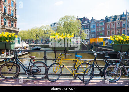 Amsterdam, Niederlande - 20 April 2017: Fahrräder mit Blumen auf der Brücke in Amsterdam, Niederlande. Stockfoto