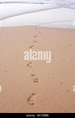 Spuren im Sand aus dem Atlantischen Ozean auf der Wiese Beach, Cape Cod Stockfoto