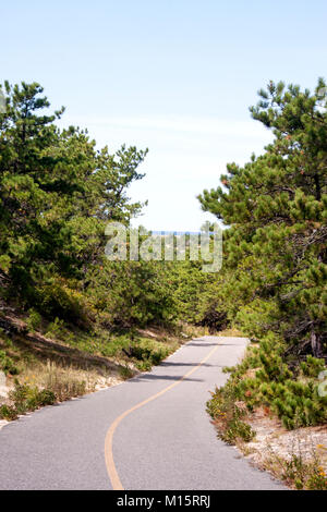 Cape Cod Provinz landet Bike Trail mit Blick auf den Atlantischen Ozean durch Bäume Stockfoto