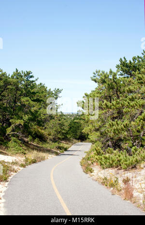 Cape Cod Provinz landet Bike Trail mit Blick auf den Atlantischen Ozean durch Bäume Stockfoto