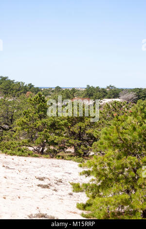 Dünen und Bürste von Cape Cod Provinz landet an einem klaren Tag Stockfoto