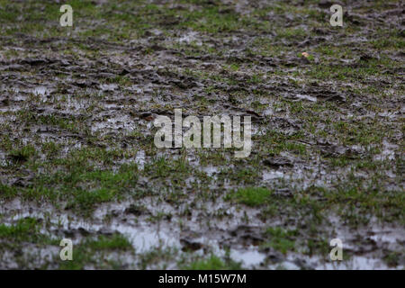 Ein schlammiges Fußballplatz in Chichester, West Sussex, UK. Stockfoto