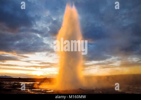 Geysir Strokkur bei Sonnenaufgang in der geothermischen Bereich Haukadalur, South Island, Island Stockfoto