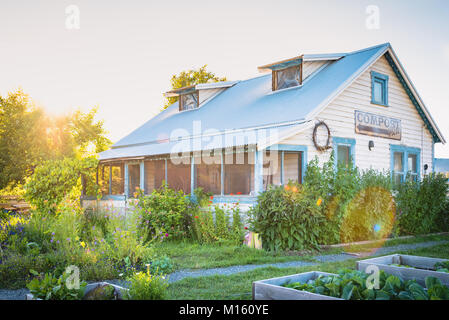 Die Kartoffel Haus und Garten bei Sonnenuntergang. Das 40er Haus ist eines der letzten historischen Gebäuden in der Innenstadt von Williams Lake, BC, Kanada Stockfoto