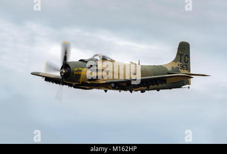 A-1 Skyraider bei einer Flugshow im Heritage Flight Museum, Skagit Regional Airport, Burlington, Washington, USA Stockfoto