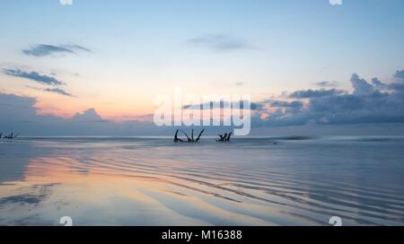 Schönen Meer und Strand mit einer expressiven Himmel und Treibholz und tote Bäume am Strand bei Sonnenaufgang auf dem Boneyard Beach in South Carolina Stockfoto