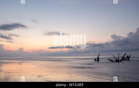 Schönen Meer und Strand mit einer expressiven Himmel und Treibholz und tote Bäume am Strand bei Sonnenaufgang auf dem Boneyard Beach in South Carolina Stockfoto