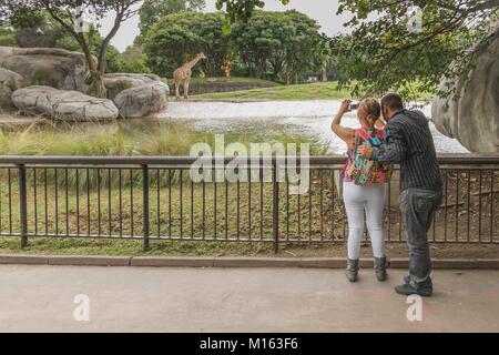 Junges Paar Bilder, die in einem Zoo von Mexiko Stadt. Stockfoto