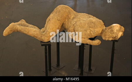 Einer der zwanzig Stimmen erhalten Opfer von der Vesuv-Ausbruch im Jahr 79 eine innen Sperrholz Pyramide, Pompeji, Kampanien, Italien. Stockfoto
