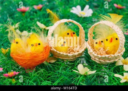 Ostern-Einstellung mit Hühnern auf Rasen Hintergrund. Stockfoto