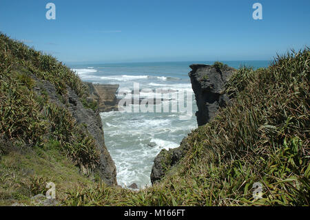 Punakaiki Pancake Rocks, Neuseeland Flachs, Paparoa Nationalpark; Greymouth; Westküste; South Island, Neuseeland, NZ; Flachs von Maorie für weavi verwendet Stockfoto