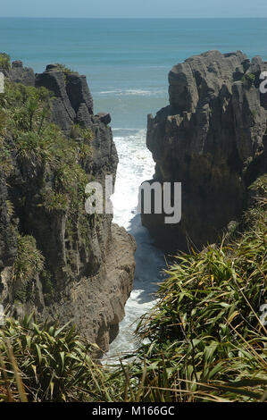 Punakaiki Pancake Rocks; Paparoa Nationalpark; North West Küste von South Island, Neuseeland. NZ.; Kalkstein; Blow Holes; Geologie; 2-in-1-Roc Stockfoto