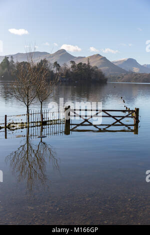 Einem überschwemmten Feld am Ufer des Derwent Water in der Nähe von Keswick nach starken Regenfällen Stockfoto