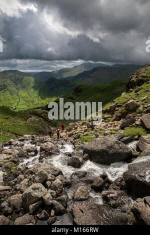 Stickle Ghyll; Langdale Valley, Lake District, Großbritannien Stockfoto