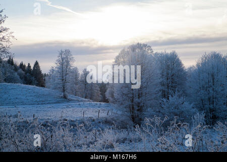 Landschaft mit Frost im Baum Stockfoto
