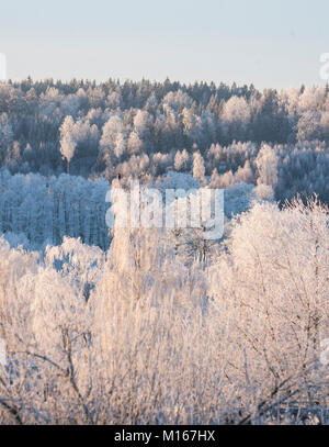 Landschaft mit Frost im Baum Stockfoto