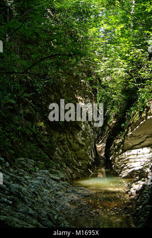Einen schmalen schattigen Stone Canyon eines Baches in einem tropischen Wald, mit Sonnenlicht durch dichtes Laub brechen Stockfoto