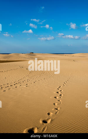 Sanddünen und blauer Himmel, Praia da Bordeira, Carrapateira, Algarve, Westküste, Atlantik, Portugal Stockfoto