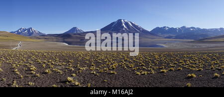 Laguna Miniques, Láscar Vulkan im Hintergrund, Reserva Nacional Los Flamencos, in der Nähe von San Pedro de Atacama Stockfoto