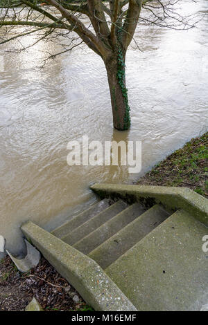 Die Treppen absteigend auf die Ufer des Flusses Marne sind auf halber Höhe durch die wichtigen Anstieg des Wasserspiegels überflutet. Stockfoto