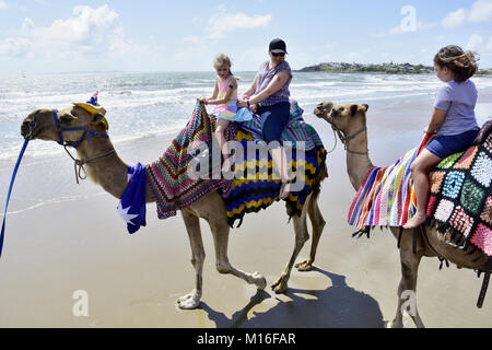 Touristen REITEN KAMELE AM STRAND Stockfoto