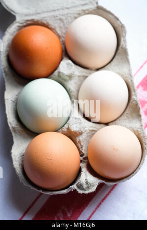 Ein halbes Dutzend frische Eier aus Freilandhaltung, verschiedene Größen und Farben. Braune und Blaue Eier. Stockfoto