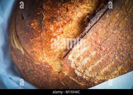 Frisch gebackene artisan Sauerteig Brot Stockfoto