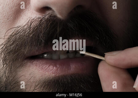 Nahaufnahme eines bärtigen Mannes Mund mit einem Holz Zahnstocher Stockfoto