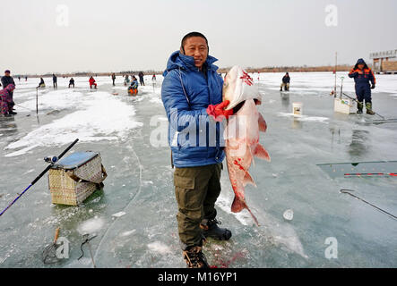 Shijiazhuang, Provinz Hebei Provinz Chinas. 27 Jan, 2018. Ein Mann zeigt seine Fische auf Caofei See in Tangshan, nördlich der chinesischen Provinz Hebei, Jan. 27, 2018. Credit: Yang Shiyao/Xinhua/Alamy leben Nachrichten Stockfoto