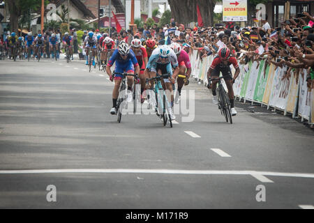 Banyuwangi, Indonesien. 27 Jan, 2018. Radfahrer Sprint in Stufe 3 der Tour de Indonesien 2018 in der Provinz Ost Java, Indonesien, Jan. 27, 2018 zu beenden. Credit: Veri Sanovri/Xinhua/Alamy leben Nachrichten Stockfoto