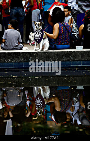 Valencia, Carabobo, Venezuela. 2. Okt 2011. Oktober 02, 2010. Feier der Tiere Tag in der Stadt Valencia, Carabobo Zustand. Foto: Juan Carlos Hernandez Credit: Juan Carlos Hernandez/ZUMA Draht/Alamy leben Nachrichten Stockfoto