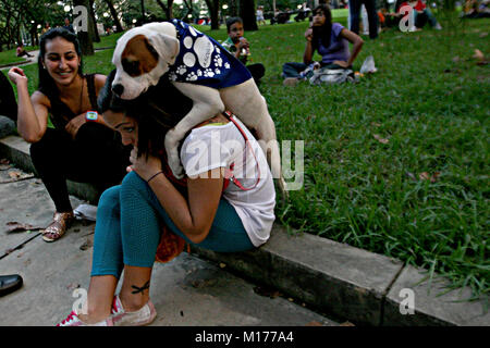 Valencia, Carabobo, Venezuela. 2. Okt 2011. Oktober 02, 2010. Feier der Tiere Tag in der Stadt Valencia, Carabobo Zustand. Foto: Juan Carlos Hernandez Credit: Juan Carlos Hernandez/ZUMA Draht/Alamy leben Nachrichten Stockfoto